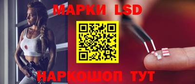 мдпв Жуковский
