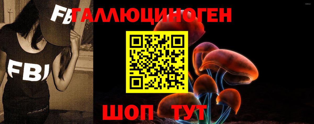 Искитим  Псилоцибиновые грибы Psilocybine cubensis  Вход с VPN 